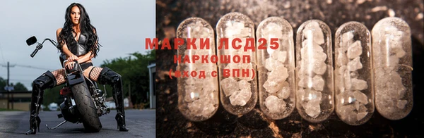 бошки Корсаков