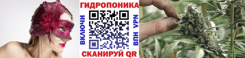 где продают наркотики  кракен как зайти  Канабис THC 21%  Магас 